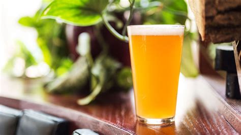 Demystifying Craft Beer: What's An IPA? - Vietcetera