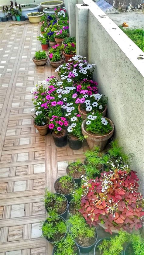 garden ideas flower front yard | Garden projects, Potted plants outdoor ...