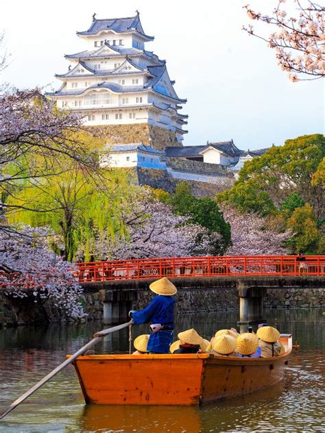 Japan Weather in March 2024: Travel Tips for First-Timers