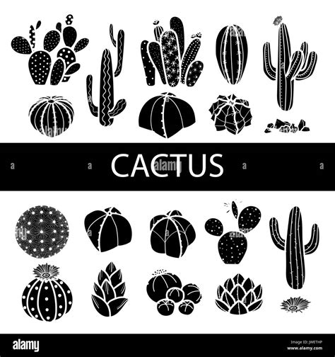 Set of isolated silhouette cactus and succulents. Hand drawn style ...