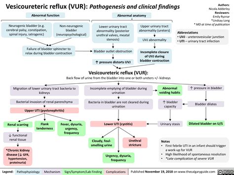 Chronic Kidney Disease Pathophysiology