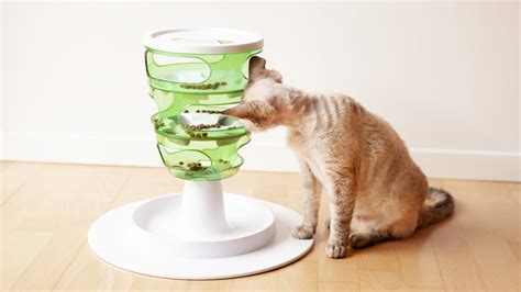 The 11 Best Cat Puzzle Toys To Challenge and Engage Your Kitty