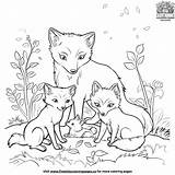 21  Delightful Fox Coloring Pages sketch template