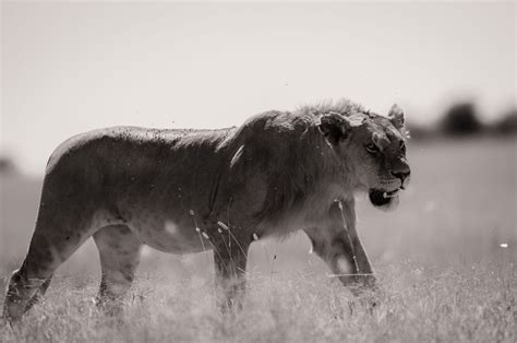 Kenyan Nature Reserve Photography – Fubiz Media