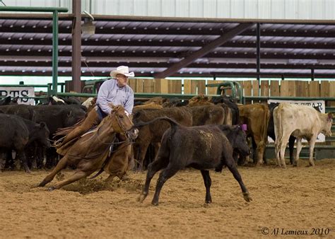 Cutting | Horse Happenings