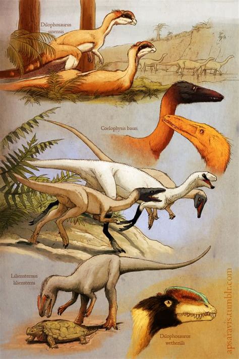 Coelophysid theropods Dinosaur Drawing, Dinosaur Art, Prehistoric World, Prehistoric Creatures ...