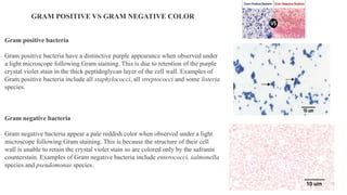 Gram staining by RKL.pptx