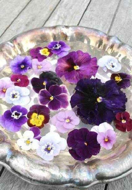 Best Collections of Beautiful Pansies in Picture 14 | Pansies, Flower ...