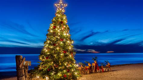 Decorated Christmas Tree On Beach Sand Under Blue Sky 4K HD Christmas Tree Wallpapers | HD ...