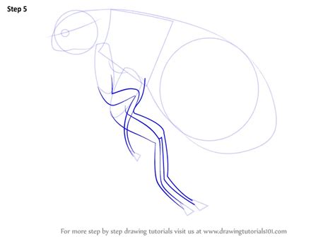 Learn How to Draw a Flea (Insects) Step by Step : Drawing Tutorials