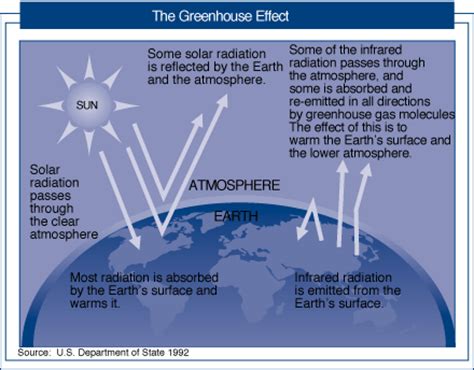 The Dangers of Carbon Pollution on the Environment