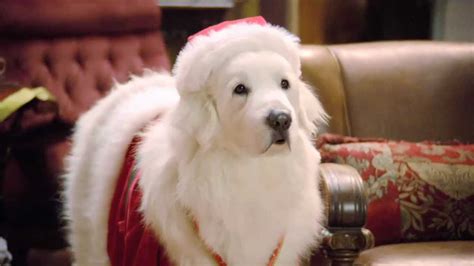 Santa Paws - Disney Wiki