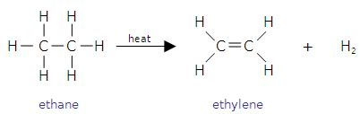 Production of Polyethylene - Petrochemical Processes / Riley Doiron