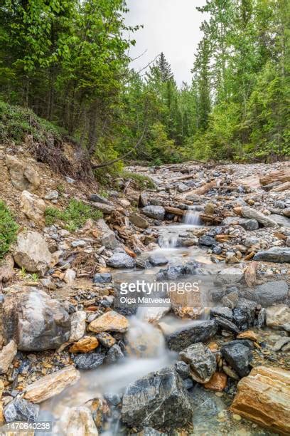 223 Gold River British Columbia Stock Photos, High-Res Pictures, and Images - Getty Images