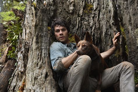 An Adorable Dog Named Hero Is the Secret Star of the New Dylan O’Brien ...