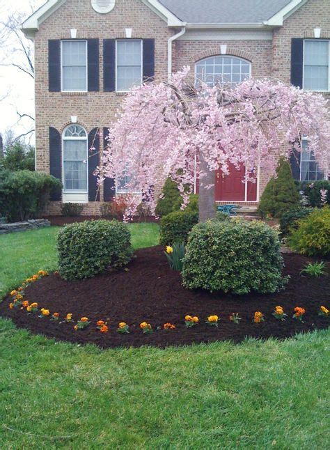 12 Black Mulch ideas | black mulch, front yard, backyard