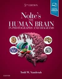 Nolte's Human Brain in Photographs & Diagrams, 5th ed.: 洋書／南江堂