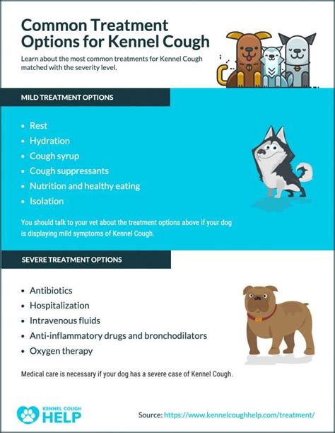 Kennel Cough Treatment - Antibiotics, Throat Spray, Remedies & More