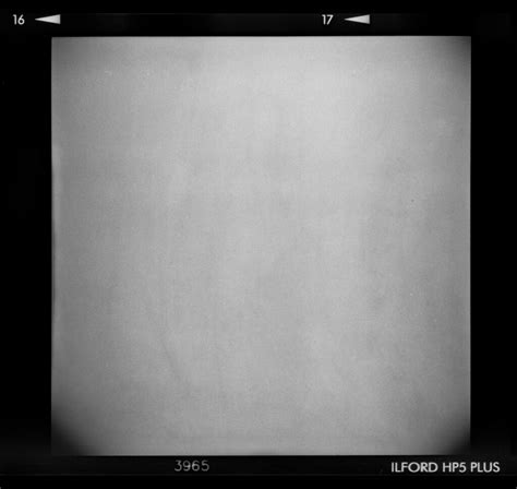 Holga film texture | The full, 6x6 negative shot on my uber-… | Flickr