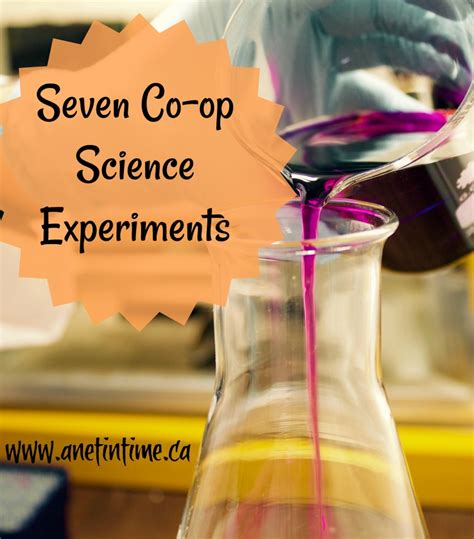 Seven experiments for Science Co-op - A Net in Time