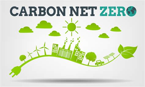 5 steps to help you on your carbon net zero journey - CCS