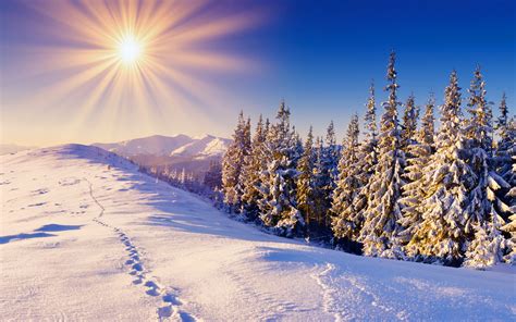 hd winter wallpapers - HD Desktop Wallpapers | 4k HD