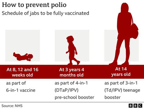 Polio: What is it and how does it spread? - BBC News