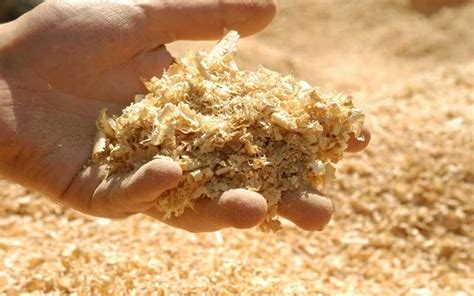 10 Smart Alternative Uses of Sawdust You Should Know