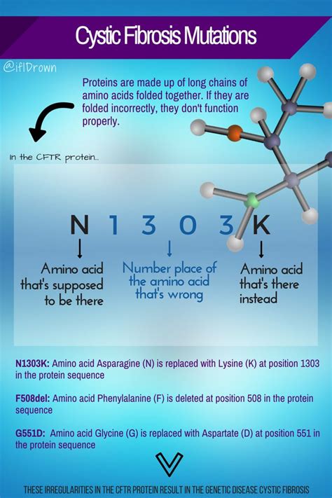 Cystic Fibrosis Mutations