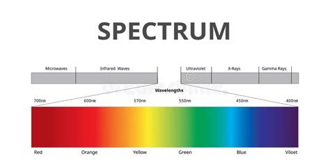 Visible Light Spectrum Diagram Stock Illustration - Illustration of ...