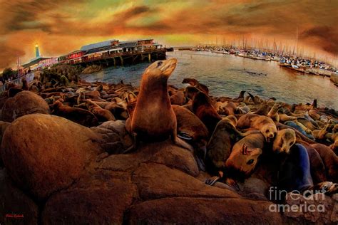 Monterey Fisherman's Wharf Sea Lions Photograph by Blake Richards ...