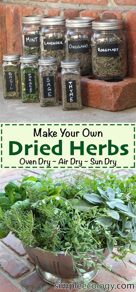 Make Your Own Dried Herbs — Simple Ecology