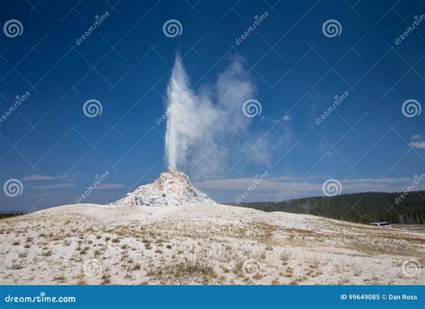 White Dome Geyser Erupts at Yellowstone National Park. Stock Image - Image of geothermal ...