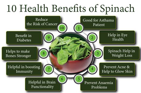 10 Health Benefits of Spinach