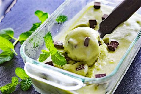 Vegan Mint Chocolate Chip Ice Cream - Living Vegan