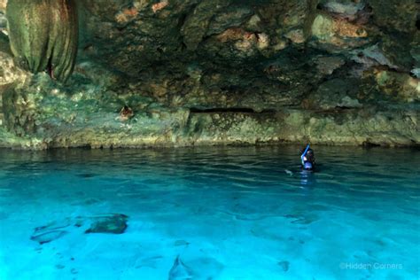 Cenote Hopping - Hidden Corners