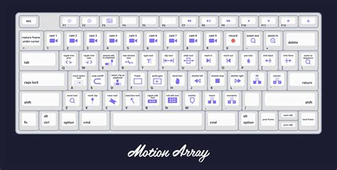 Premiere Pro Keyboard Shortcut Infographic from Motion Array ...