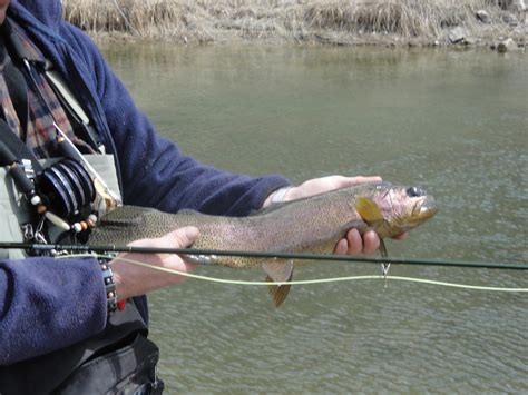 4 Days 4 Rivers Fly Fishing Package in Montana - Ennis, Montana