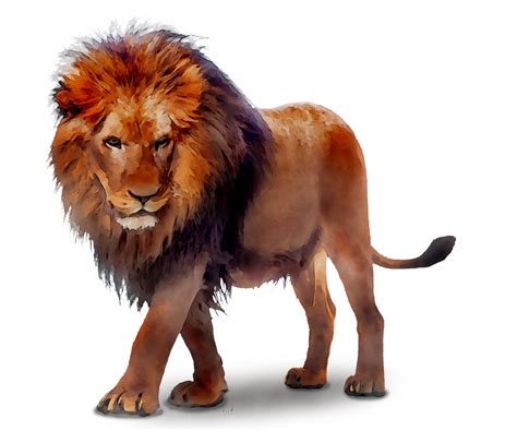 Portable Network Graphics Lion Image Clip art Transparency - png download - 1417*1181 - Free ...