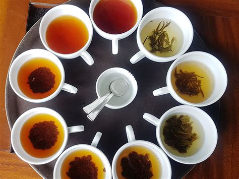 Sips From Sri Lanka: The Making Of Ceylonese Tea | Forbes India