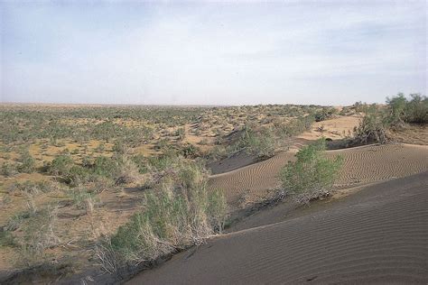 Karakum Desert - Arid, Hot, Sand | Britannica