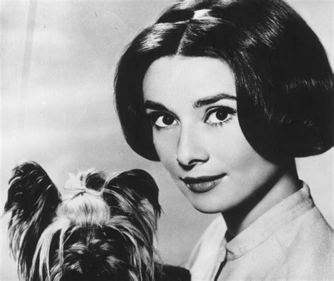 Audrey Hepburn - Audrey Hepburn Photo (21766981) - Fanpop