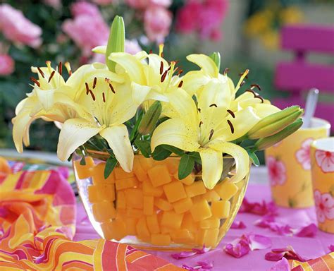 Lilium lily Arrangement In Glass Vase, Cloth, Petals Photograph by ...