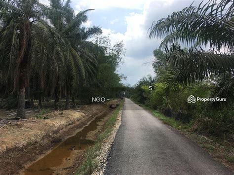 Parit Raja, Parit Raja, Parit Raja, Batu Pahat, Johor, Agricultural Lands for sale, by NGO , RM ...