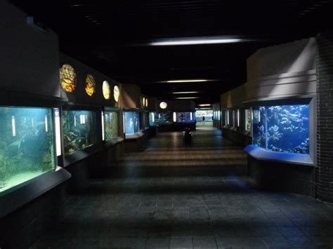 Zoo-Aquarium Berlin - ZooChat