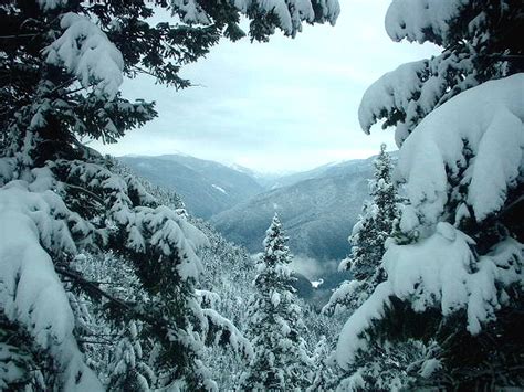 Smoky Mountain Winter Scenes Wallpaper - WallpaperSafari