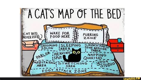 A cats map of the bed - "ACATS MAP OF THE BED: PURRING ZONE SS WAKE FOR FOOD HERE we ARE - iFunny