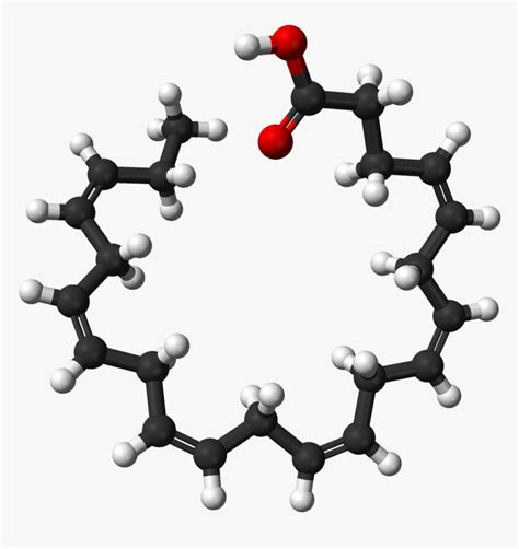 Linoleic Acid 3d Structure, HD Png Download - kindpng