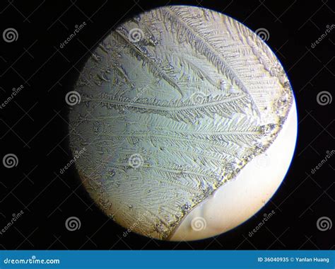 Salt Crystal In Microscope Royalty Free Stock Photo - Image: 36040935