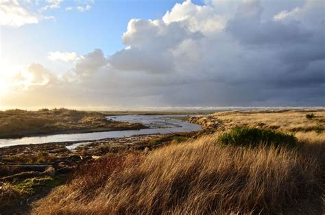 Ocean City State Park — Washington Trails Association